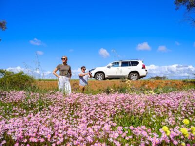 Coral Coast Wildflowers (1)