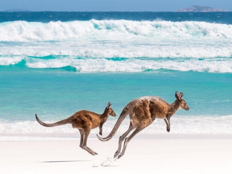 Lucky Bay – Cape Le Grand National Park