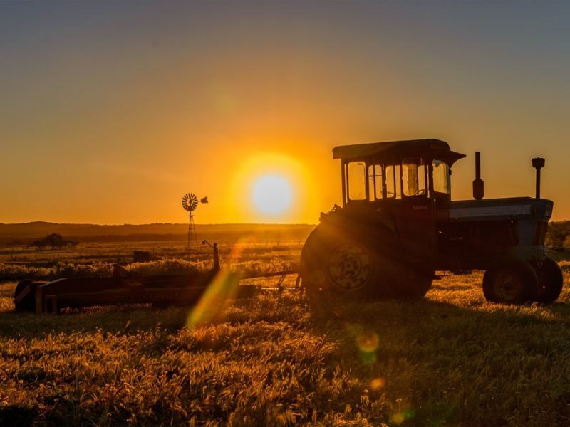 Nambung Station Stay