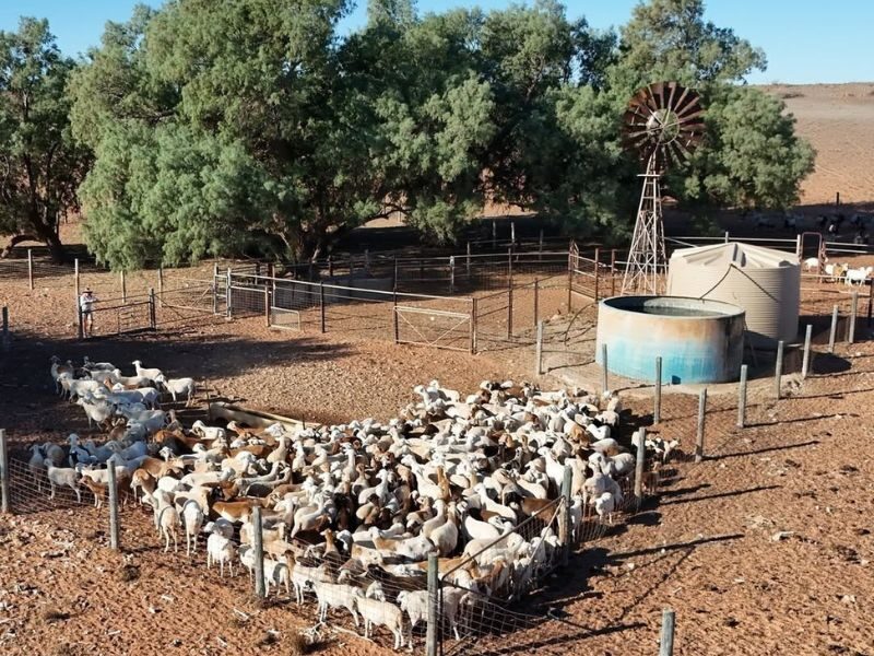 Quobba Station Stay