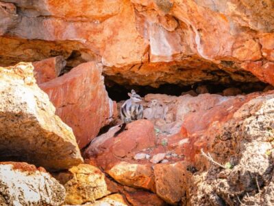 Yardie Creek (2)