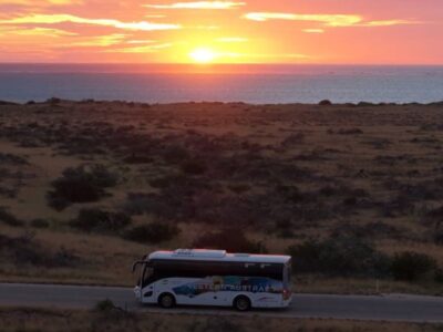 Wedding (3)